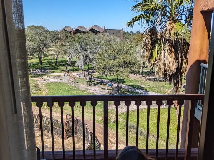 Guest Photo from Chester Rogers: Guest on balcony overlooking the savanna at Disney's Animal Kingdom Villas